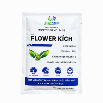 FLOWER KÍCH