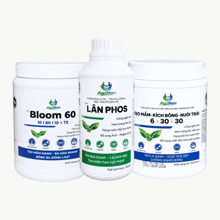 BỘ TẠO MẦM LẦN 1